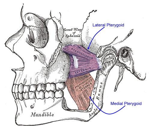 Jaw pain--Los Angeles chiropractic
