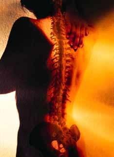 Los Angeles chiropractic--innate intelligence
