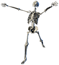 west hollywood chiropractic